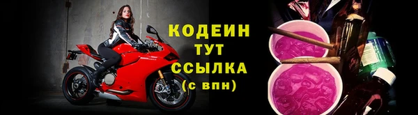 трава Белокуриха