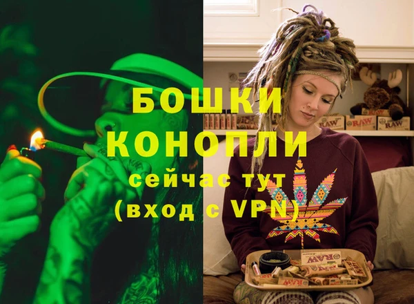 трава Белокуриха