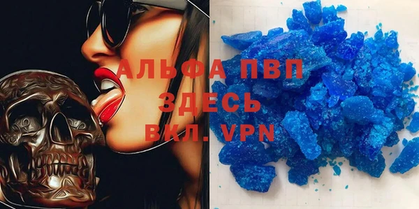 трава Белокуриха