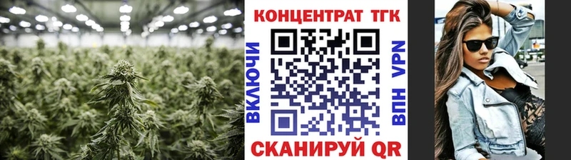 KRAKEN как зайти  Нариманов  ТГК Wax 