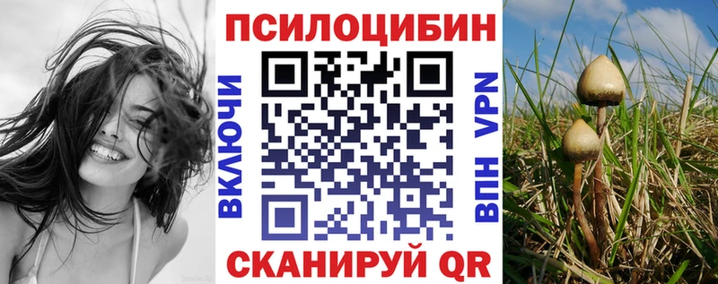 hydra сайт  Нариманов  Псилоцибиновые грибы Magic Shrooms 