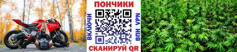 цены наркотик  Нариманов  Канабис марихуана 